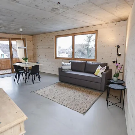 Boutique Nachhaltige Kuehlung Ueber Erdsonde Und Fussbodenkuehlung Apartment Lustenau